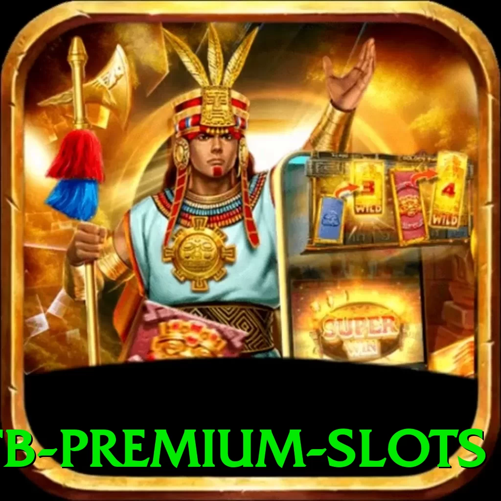 555fb Premium Slots - game